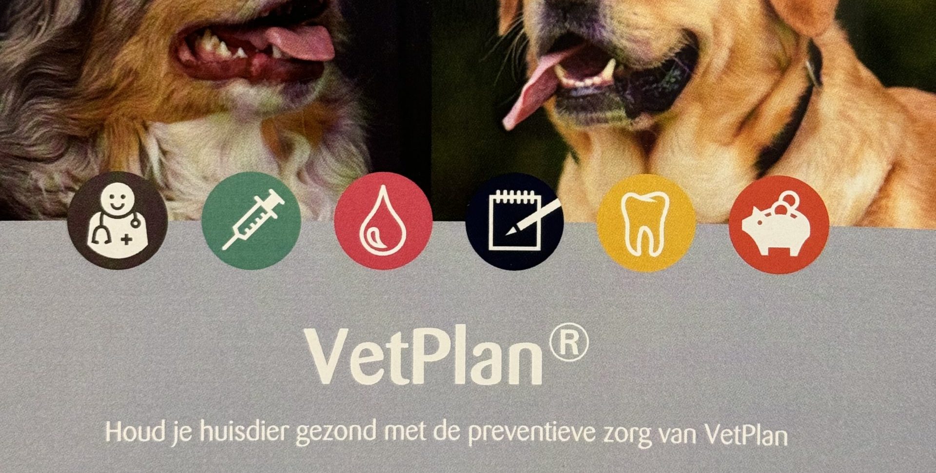 VetPlan
